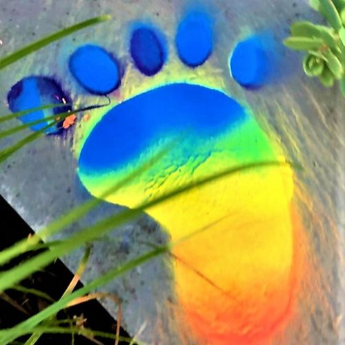 chalk6 chalk6